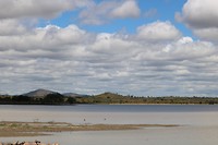 IMG_3084