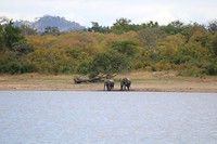 IMG_3066