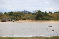 IMG_3037