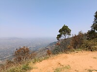 1000014795