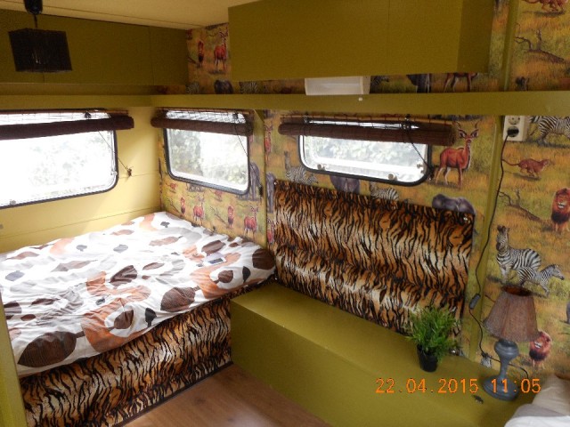 Jungle caravan