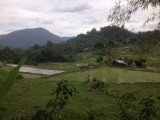 Toraja (bewolkt)