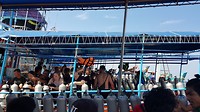 Busy dive day (elke dag)