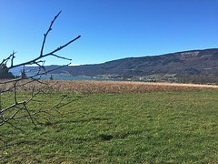 Biel See from the top of the mountain