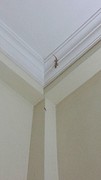 20160519_225255