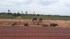 20160626_112612(0)