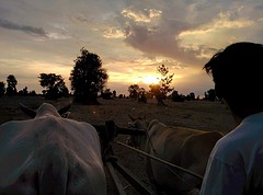 received_1336147776412243