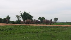 20160620_090145