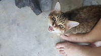 20171215_090826