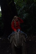 op een olifant!
