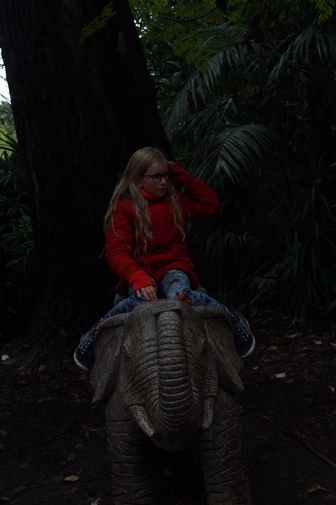 op een olifant!