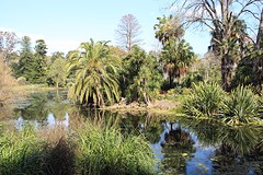 botanic gardens