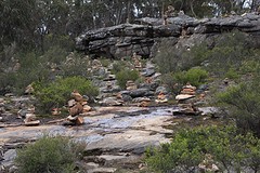 het leger