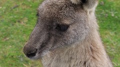 dit is dus zonder zoomles!
