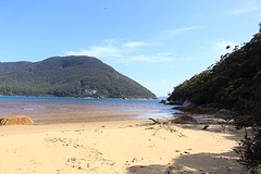 Hello Paradise