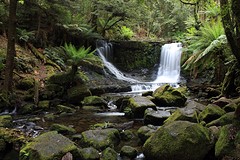 Horseshoe falls
