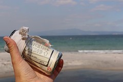 Page in a bottle