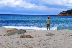 Wineglass bay
