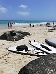 IMG_20190210_105439