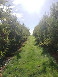 IMG_20190428_123626