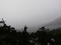 IMG_20190427_121058