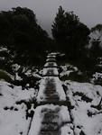 IMG_20190427_114437