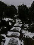 IMG_20190427_114427