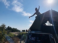 lott auto