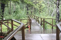 Heuvels listvyanka