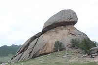 Turtle rock