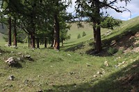 Vallei heuvel