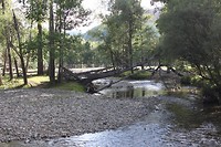 Vallei bos 2