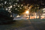 In de vroege ochtend op de camping