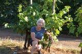 Onder de druivenrank