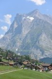 vanuit de trein
