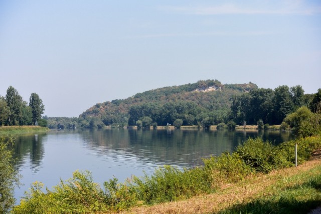 De Rijn
