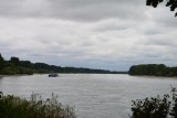 De Rijn
