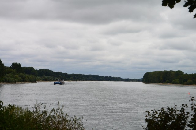 De Rijn