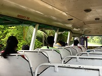 Lokale bus!