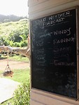 forecast fiji