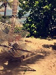 Barefoot Manta Resort