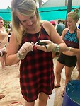 Schildpadjes schoonmaken