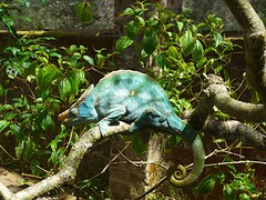 IMG_0470