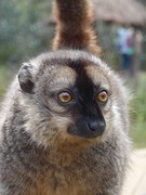 IMG_0474