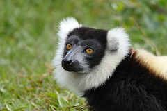IMG_0481