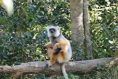 IMG_0482