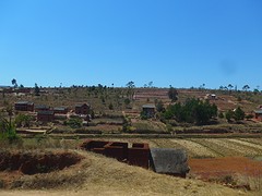 IMG_0487