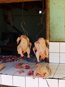 IMG_0489
