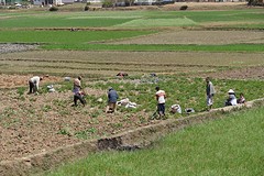 IMG_0497