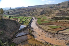 IMG_0500